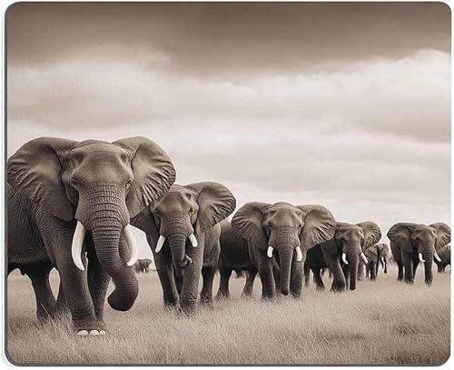 Miniatura 6 de Mugod - Alfombrilla de ratón para mujer con cuatro mujeres africanas sexys con hermosos vestidos de baile, alfombrilla de ratón de goma