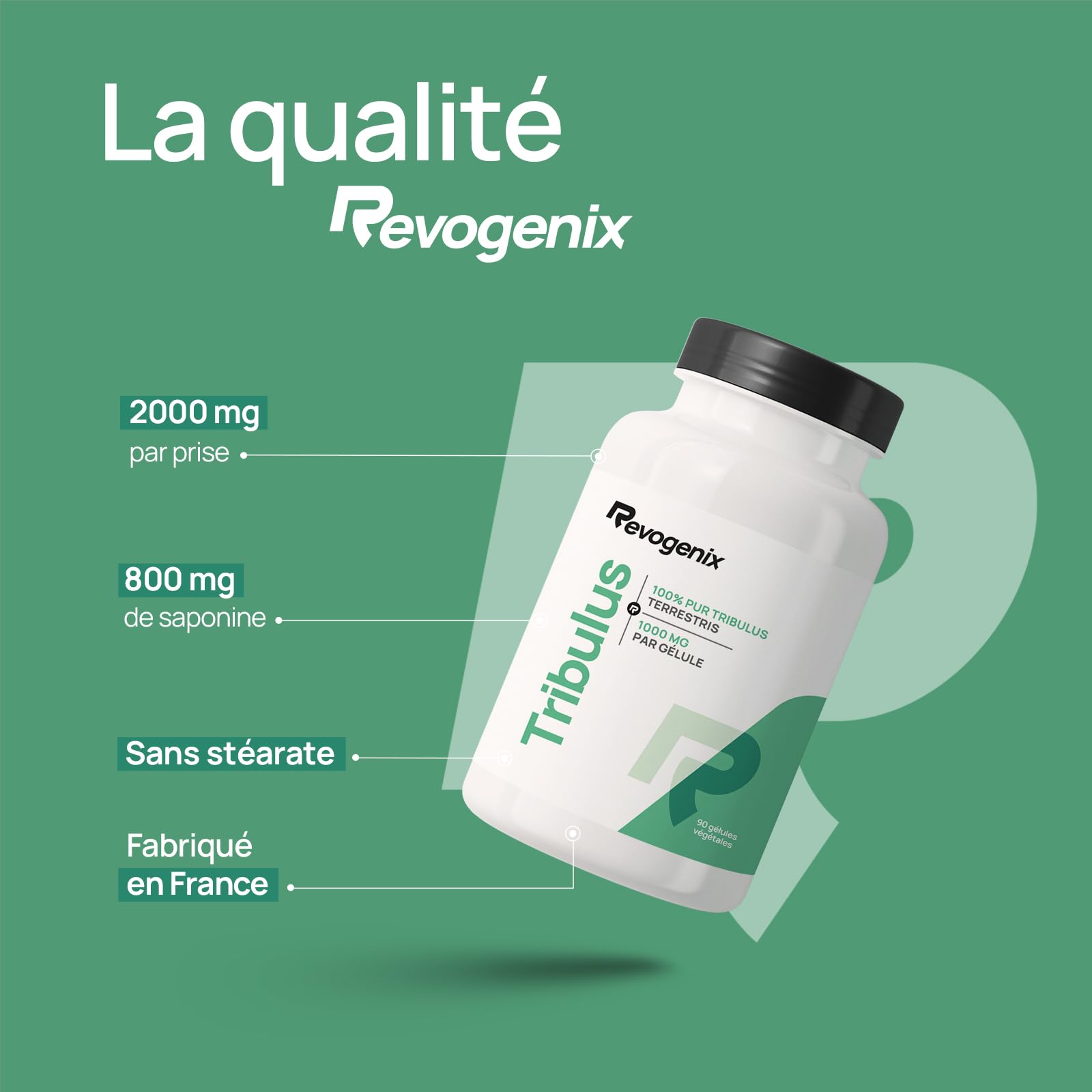 Tribulus Terrestris 1000 mg par Gélule | Titré en Saponines 10:1 | Energie & Endurance | Favorise la Croissance Musculaire, les Performances Sportives et la Libido | 90 Gélules Vegan | Revogenix