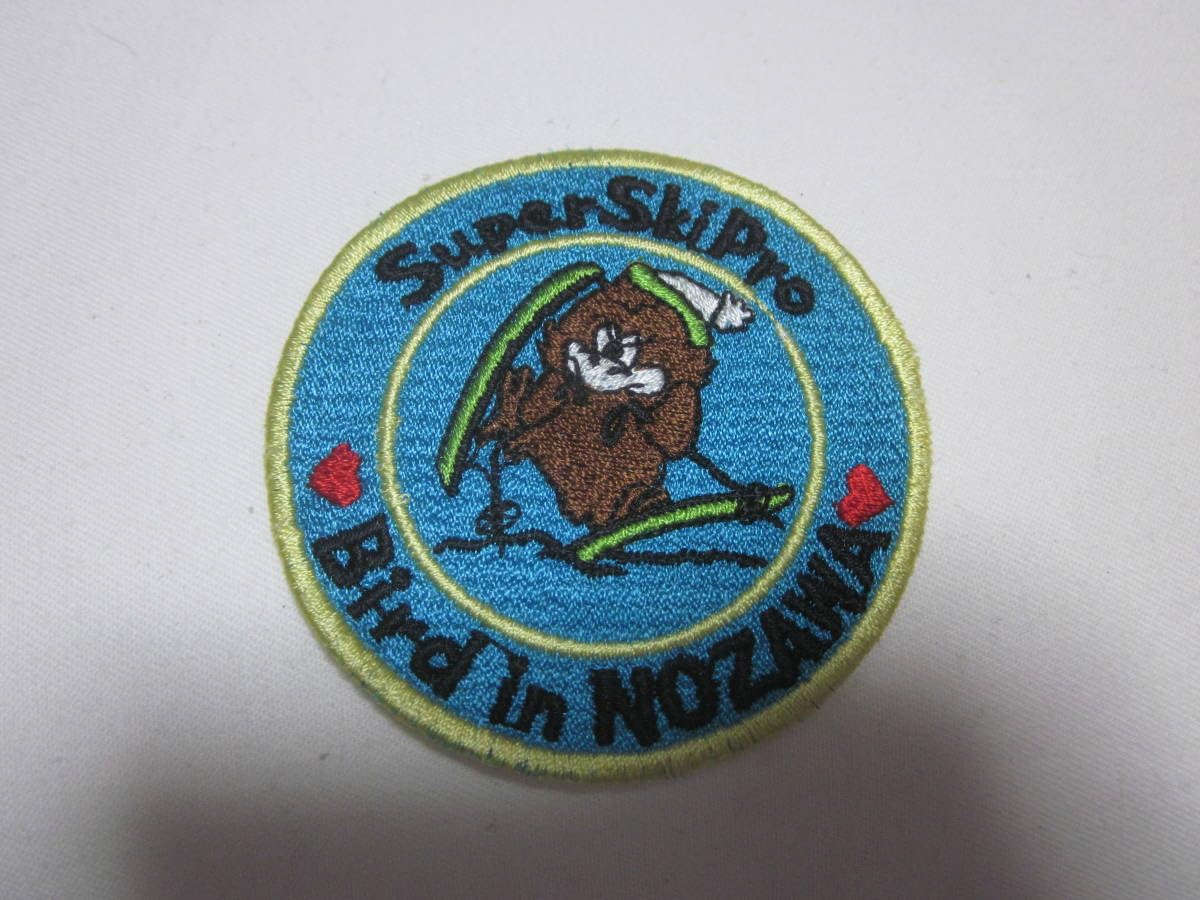 ヴィンテージ刺繍ワッペン　1973年　東日本　ウォータースキー選手権 Amazon.co.jp: □レトロ□野沢スキー場□刺繍 ワッペン□スキー場