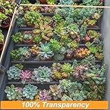 BeGrit Upgraded Clear Tarpaulin 2M X 3M Heavy Duty Waterproof Transparent Tarp Crystal Clear Rain Cover Soft Glass PVC Curtain with Grommets Rope for Outdoor Canopy Balcony Gazebo Caravan Greenhouse - Image 6