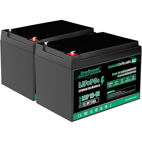 EverExceed 12V 12Ah LiFePO4 Lithium Battery Built-in 15A BMS, 12V Lithium Battery for Fish Finder, Lawn Mower, Burglar Alarm System, Solar Panel, Emergency Lighting, Camping, 2 Pack