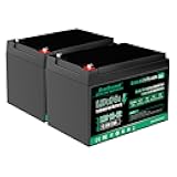 EverExceed 12V 12Ah LiFePO4 Lithium Battery Built-in 15A BMS, 12V Lithium Battery for Fish Finder, Lawn Mower, Burglar Alarm System, Solar Panel, Emergency Lighting, Camping, 2 Pack