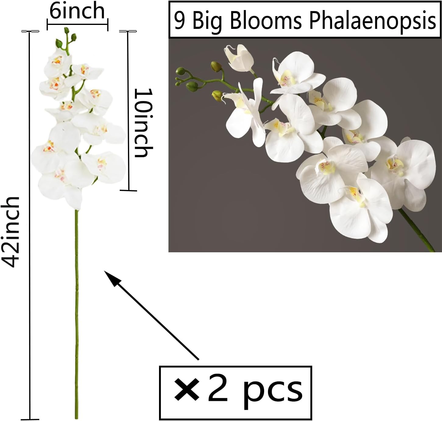 FagusHome Artificial Phalaenopsis Flowers Branches 9 Large Blooms Artificial Orchid Flowers Stem Plants 42 Inches 2 Pcs for Home Wedding Décor (White) - Image 2