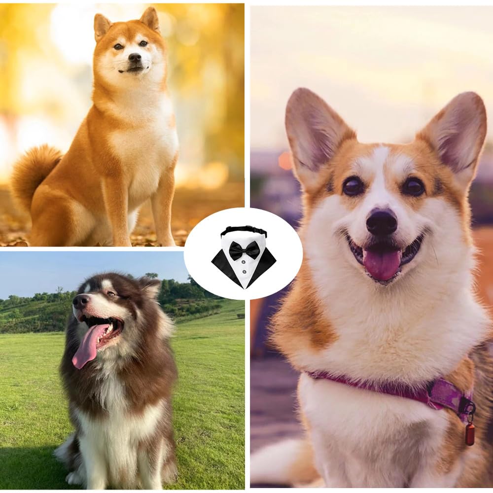 Bandana Smoking Per Cani - Collare Con Papillon Regolabile, Per Eventi Eleganti - Foto 10