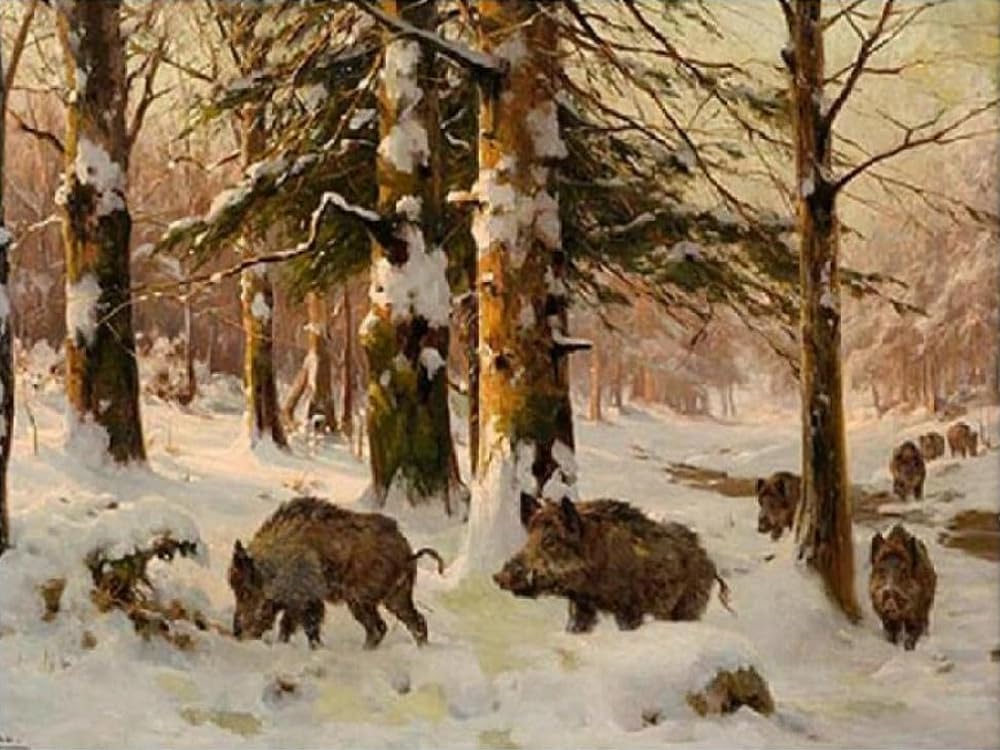 Brennora Embroidery Cross-Stitch Kits for Adults Beginners Pre Printed Cross Stitch Kit 11CT Needlework Arts and Crafts for Home Decor Wild Boar in Snowy Woods 16x20 inch