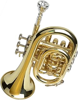 Student Brass Trumpet Student Small Musical Instrument Trumpet B Flat Pocket Trumpet