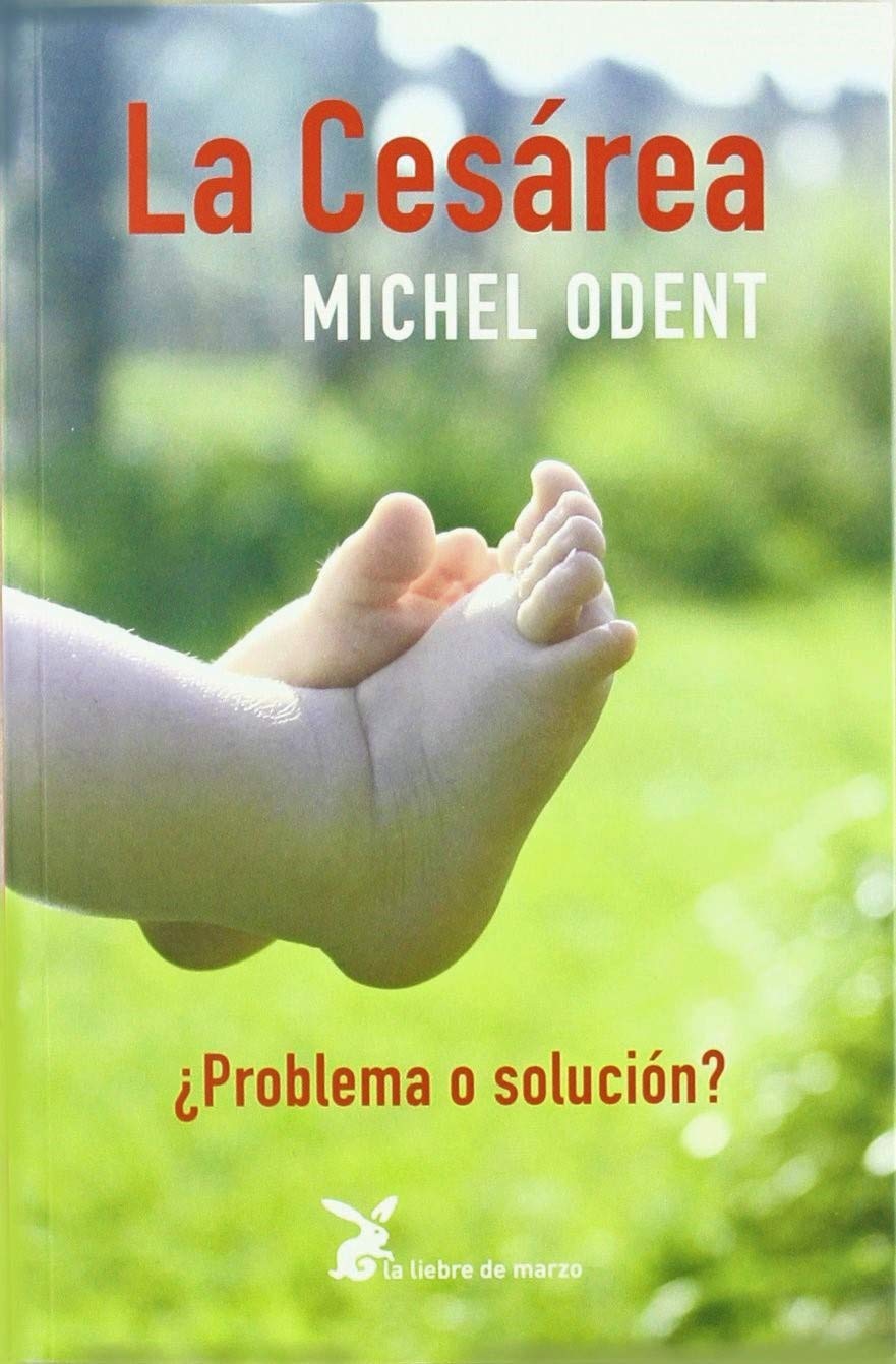 La cesárea : ¿problema o solución?