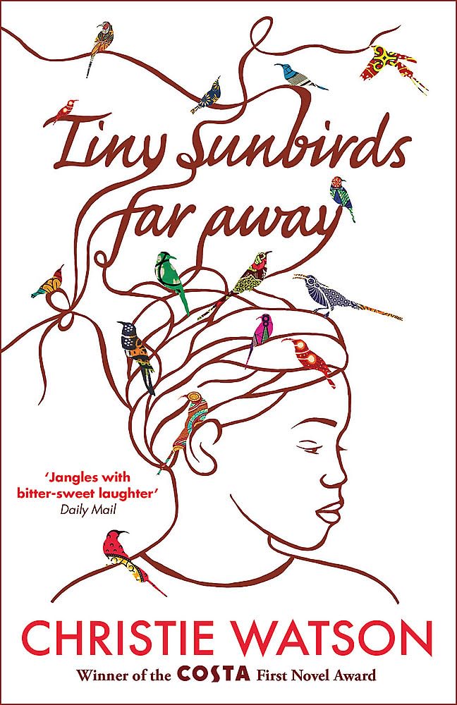 Tiny Sunbirds Far Away: Winner of the Costa First Novel Award, from the author of The Language of Kindness Paperback – 1 Dec. 2011