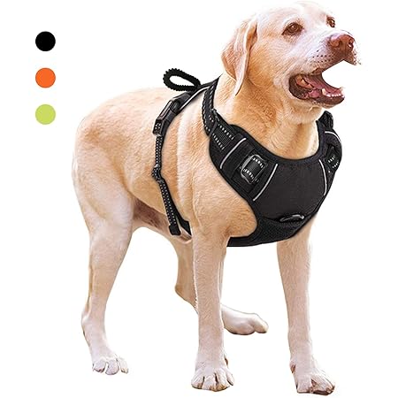 dog weight vest amazon