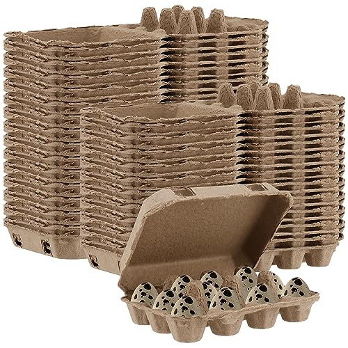 JEUIHAU 50 PCS Quail Egg Pulp Cartons Bulkj 3 x 4 Square Paper Pulp Dozen Quail Eggs Cartons Cheap Bulk Egg Holder for 12 Count Quail Egg Home Farmhouse