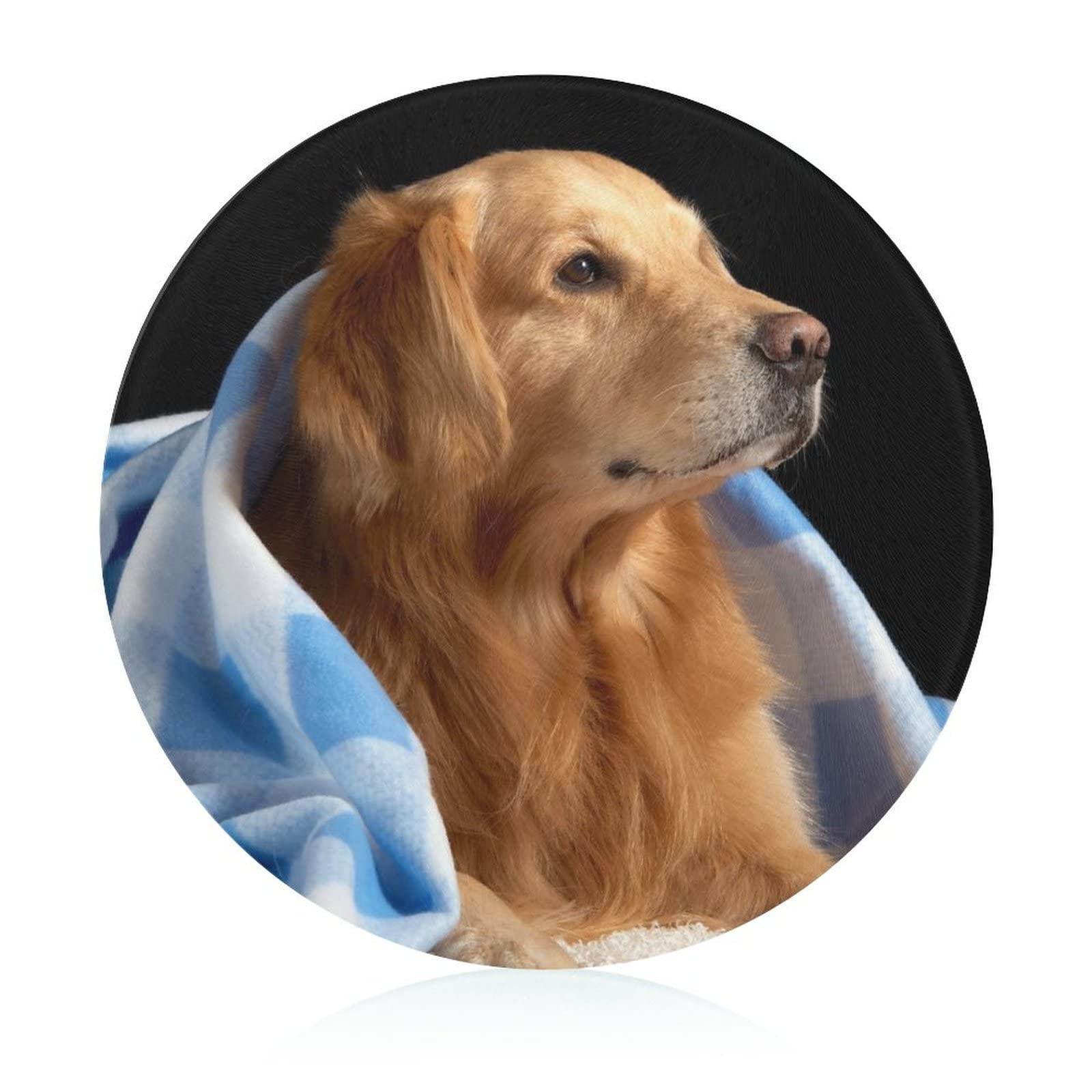 Planche à découper en verre trempé Golden Retriever 20 cm haute résistance anti-dérapante