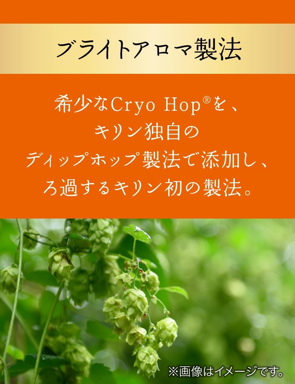 Amazon.co.jp: GOOD ALE グッドエール ビール キリン プレミアム 500ml