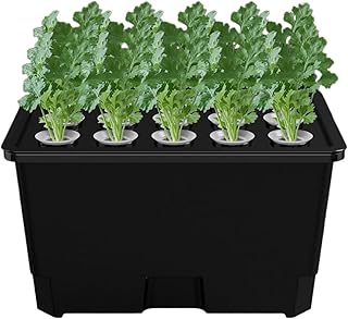 Smart Hydroponic Pflanzgefäß, Effiziente Keimschale, 15 Pods Kit mit Wasserzirkulation, Langlebiges Material Grow System, Indoor Garden Tray mit modernem Design, Saatgut-Starter-Kit für Haus und Küche