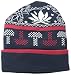 LRG Men's Alpine Divine Beanie