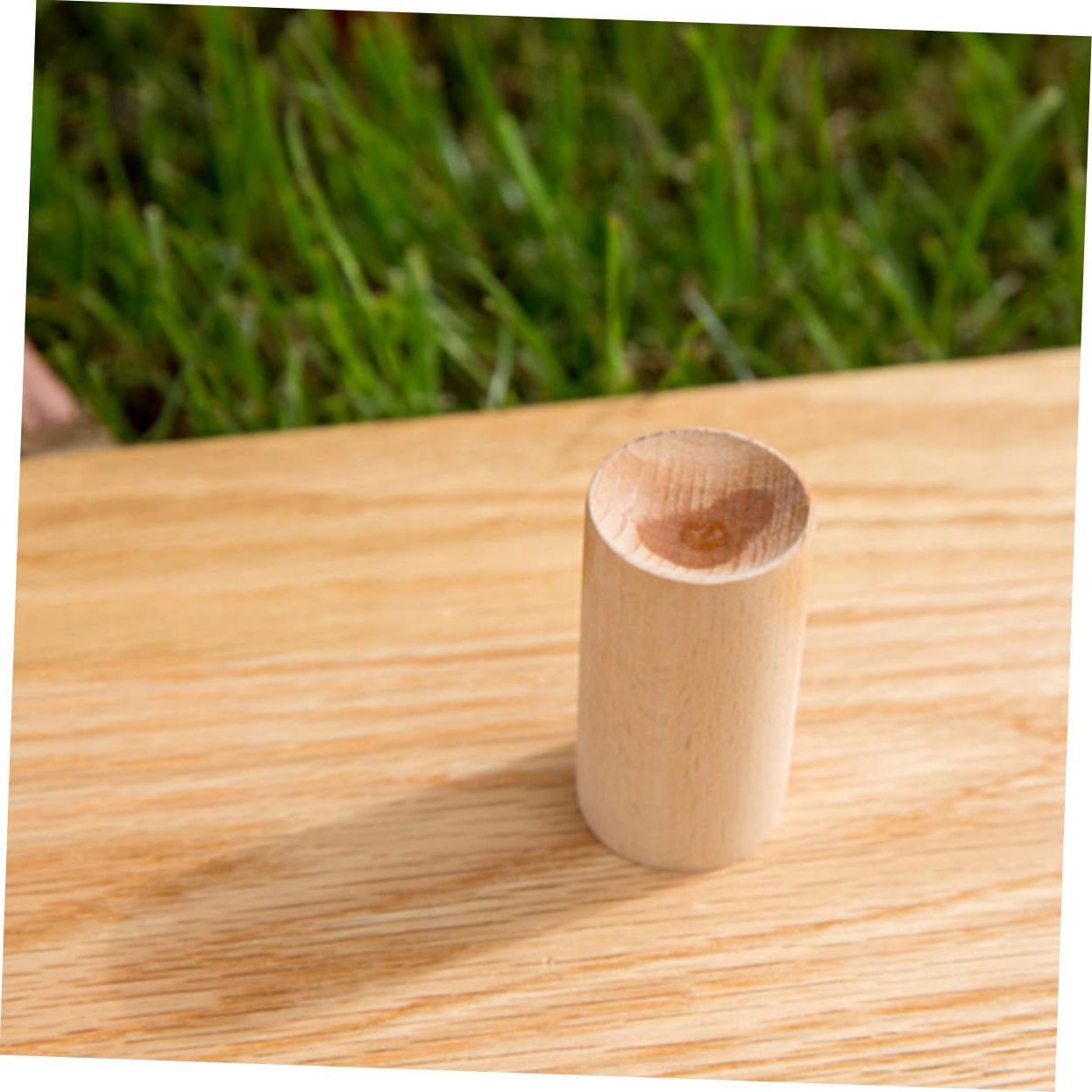 FRCOLOR 3 pezzi di materiale aromatico per interni, oli essenziali, accessori aromatici, essenziale, legno di espansione, diffusore pietra legno