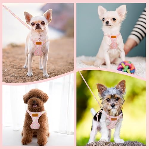 Miniatura 7 de SlowTon Arnés para perro sin tirones con correa, arnés suave y ligero con patrón floral, arnés ajustable para mascotas para perros pequeños y