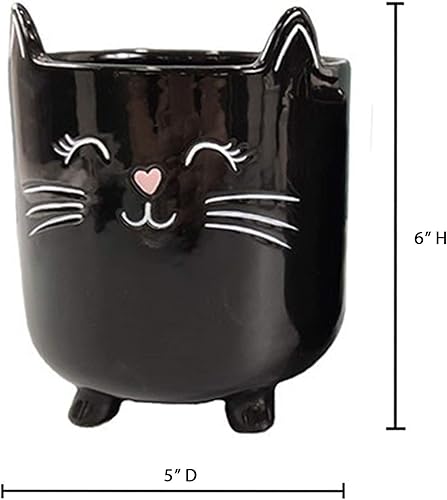 Miniatura 3 de Macetas de cerámica para plantas suculentas para interiores, macetas novedosas para el hogar, oficina, jardín (gato negro, grande, 2)