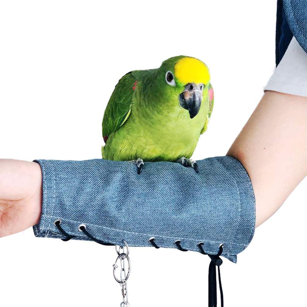 Papegaai Anti-Kras Schouder Protector Huisdier Schouder Pad Luier Sjaal Voor Kleine Medium Vogels Huisdier Macaws Liefde Vogels Vlinken Lovebird