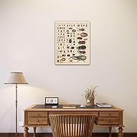 Vista 7 de Meishe Art Póster Vintage Impresión Colección de Insectos Identificación de Especies Tabla de Referencia Diagrama de Entomología Aula Club