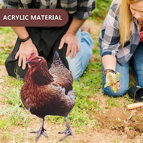Yardwe 4 Pcs Chicken Garden Decoration Outdoor Stakes Outdoor Sign Outdoor Decor Lawn Chicken Stake Acrylic Chicken Sculpture Hen Stake Lawn Animal Insert Yard Ornament Garden Animal Insert - Image 3