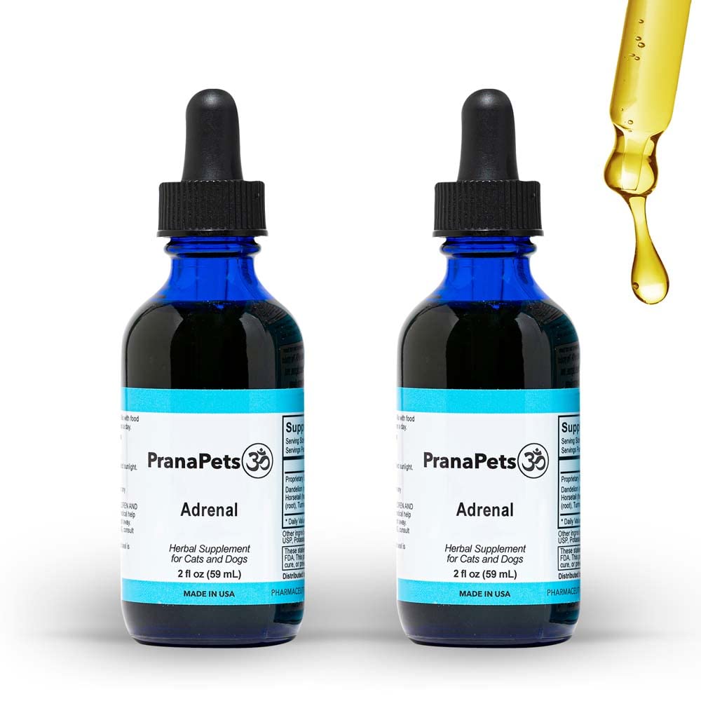 Buy Adrenal for Dogs Naturally Relieves Symptoms of Cushing's Disease