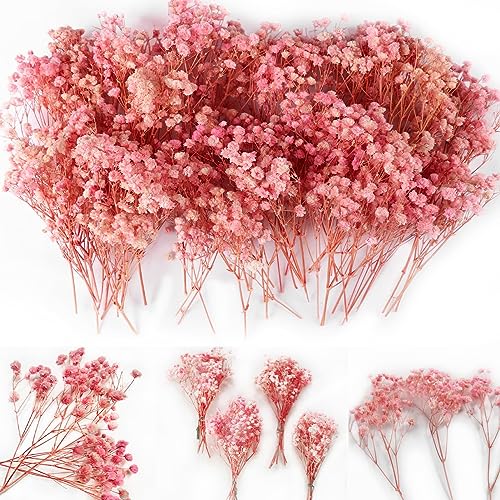 Oning 65 pezzi rosa velo essiccato, mini mazzi di fiori Gypsophila naturali per Natale, fai da te, oltre 4000 boccioli di fiori, erba vela, bouquet per matrimoni, decorazioni per la casa
