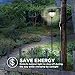 Home Zone Solar Lamp Post Light - 65