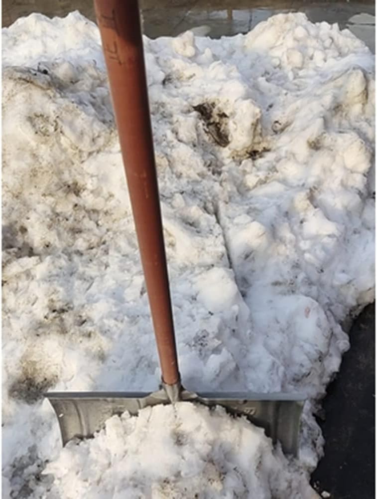 祝開店 大放出セール開催中 雪かき スノープッシャー 取り扱いと使用が簡単 緊急雪かき 車のトラックの私道の除雪のため 色 C Rachelbaptista Com Br 祝開店 大放出セール開催中 雪かき スノープッシャー 取り扱いと使用が簡単 緊急雪かき 車のトラックの私道の除雪のため 色 C Rachelbaptista Com Br