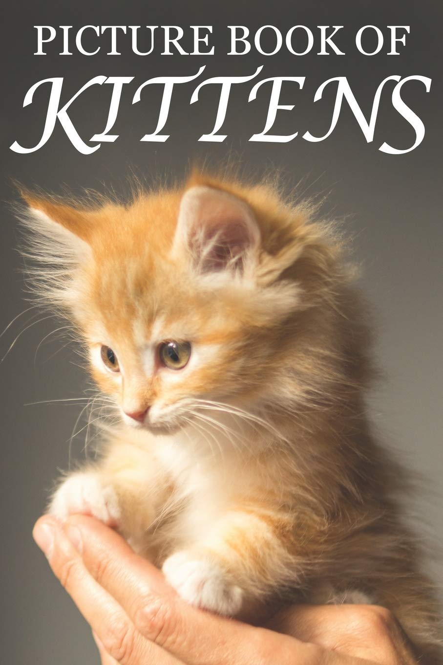 Picture Book of Kittens: Picture Book of Kittens: For Seniors with Dementia [Cute Picture Books]: 2 (Picture Books of Animals for People with Dimentia)