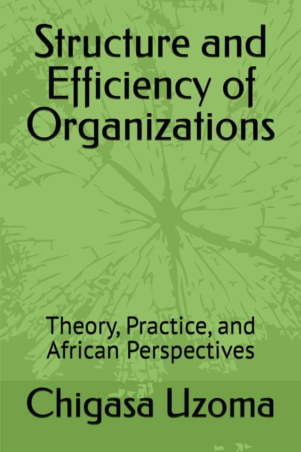 Structure and Efficiency of Organizations: Theory, Practice, and African Perspectives