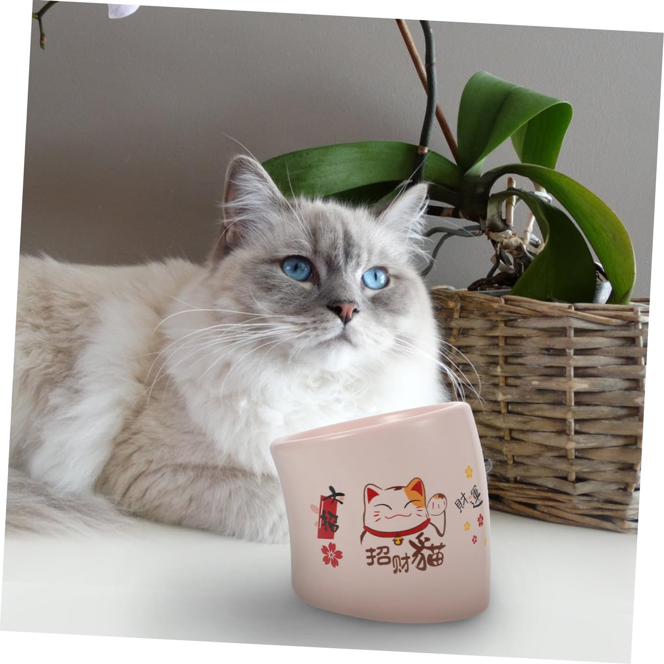Luxshiny Ceramic Cat Bowl with Non-Slip Base, Elevated Pink Pet Feeder Dish for Cats and Puppies, Spill-Resistant Water and Food Feeding Bowl for Indoor Use