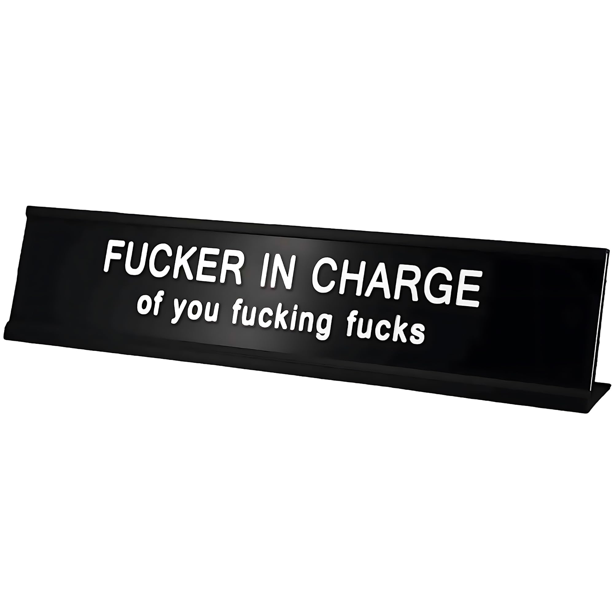 Toplusesse er in Charge Black Funny Desk Signs for Office Novelty Desk Sign Nameplate Office Decor Plaque Men Women Gift