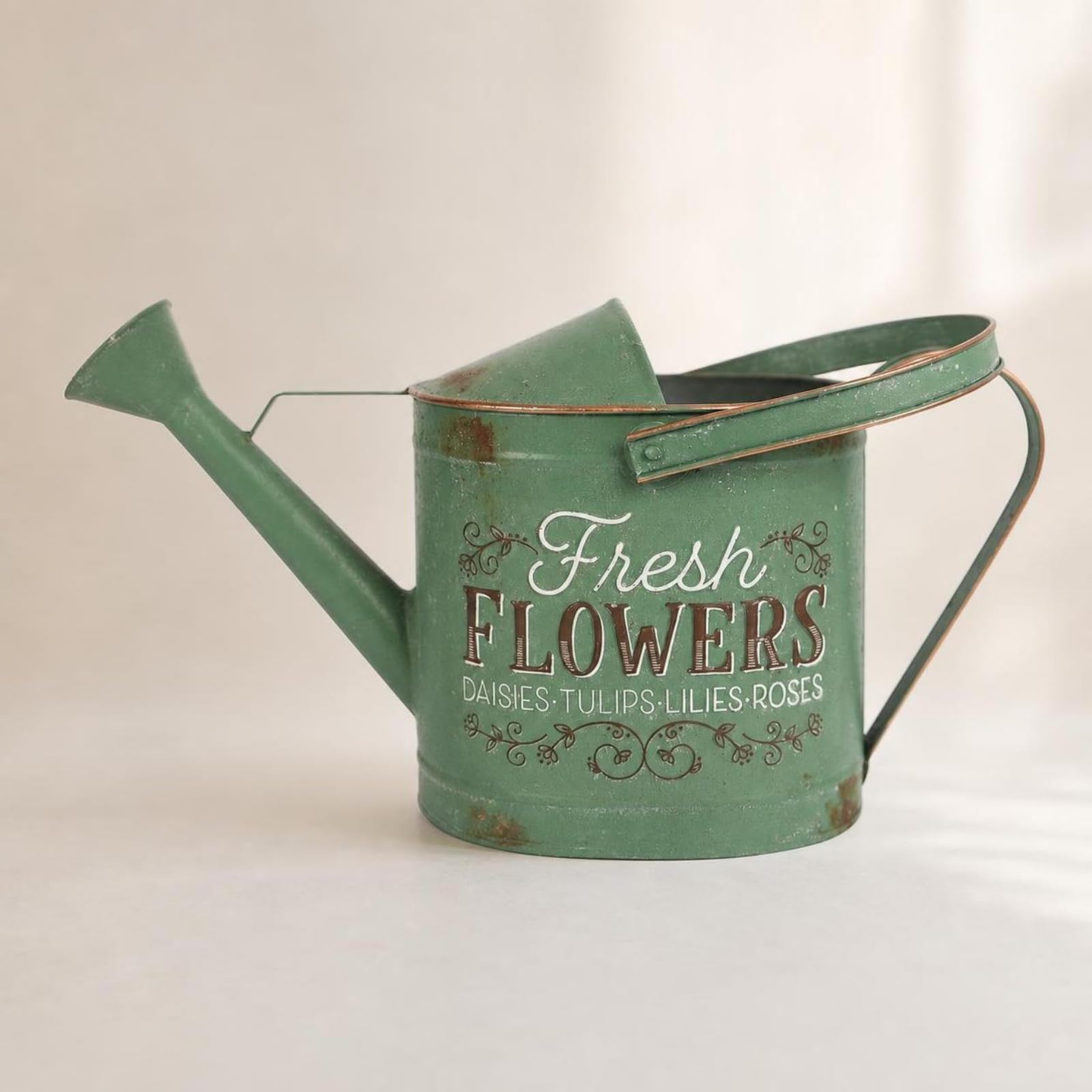 Annaffiatoio con Beccuccio Lungo Co | Stile Rustico Vintage, Annaffiatoio con Soffione, Pratico, per Giardino, Casa, Balcone