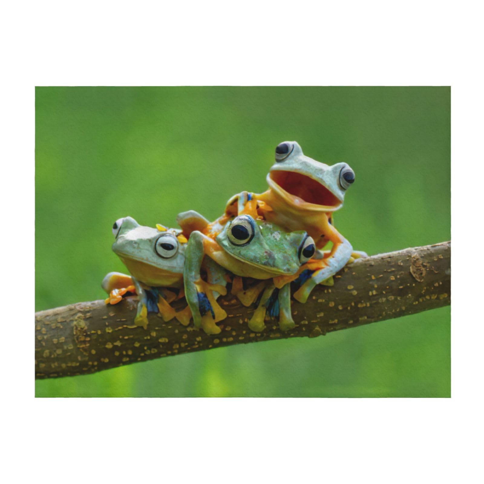 Couverture légère grenouille lit et canapé plaid toutes saisons