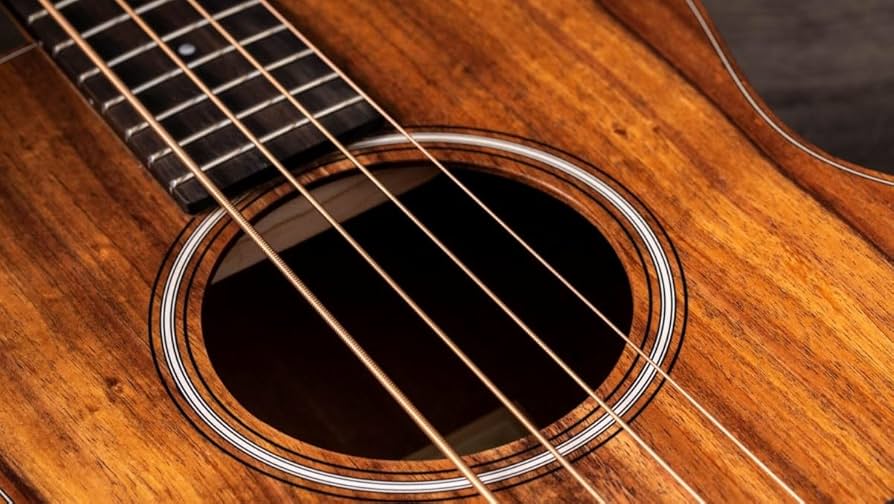 Taylor GS mini-e bass GSミニベース テイラー アコベ 71SztZJ9mmL._UF350,350_QL50_.jpg