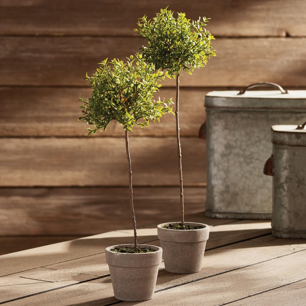 Amazon｜Napa Home & Garden タイムトピアリー 16インチ｜造花