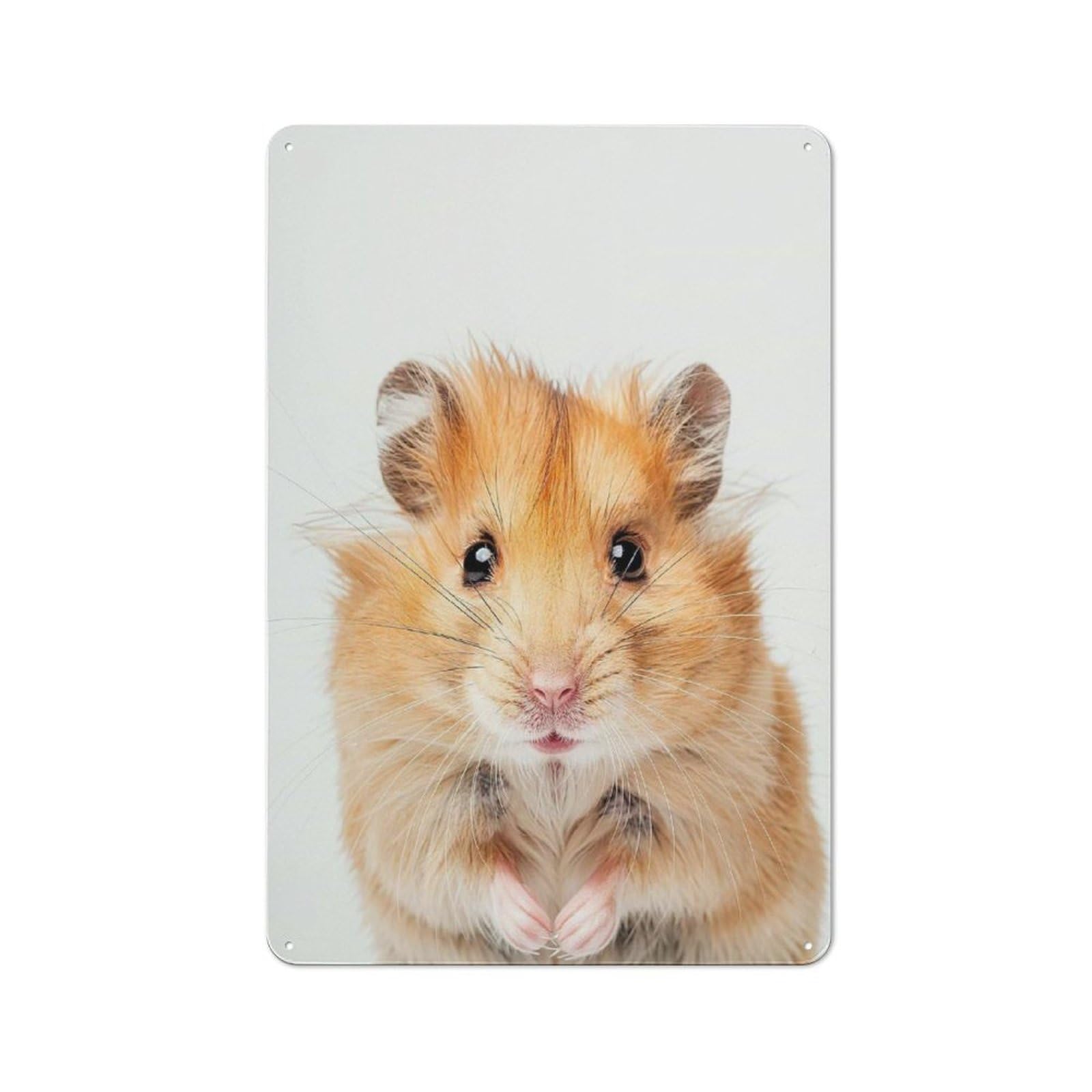 Junmoney Cute Baby Hamster Retro Metal Plaque 30X20cm For Garage Or Workshop, Housewarming Wall Decor For People Furnishing Garage And Workshop