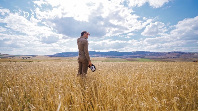 Image of Farmers & Home Tape - Heavy-Duty, Extra Strong Hold Weather-Resistant Tape for All Uses