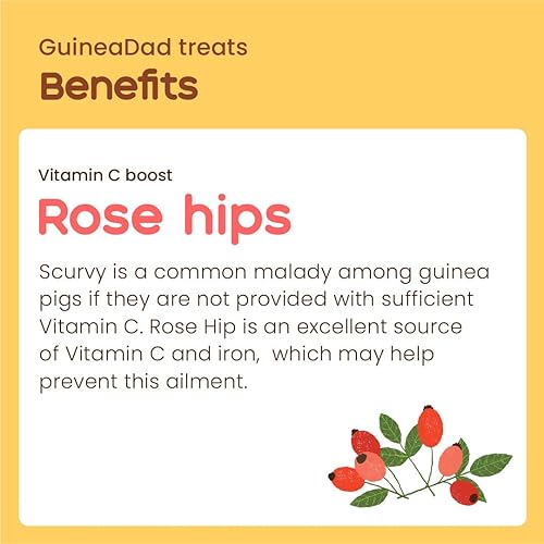 Miniatura 5 de GuineaDad Golosinas de hierbas orgánicas de conejillo de indias  Comida para conejillo de indias con un embalaje conveniente  Sabor a rosa mosqueta