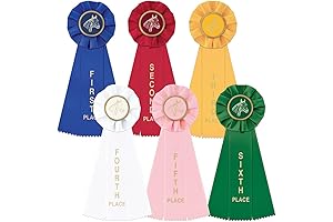 Hodges Badge Company Equestrian Award Ribbon Set
