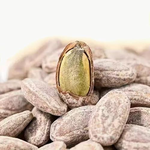 ݉Zq Zq sunflower seeds ~NZ ŊہX Ђ܂̎ Hp ̌yH ? ?Zq  x?H Z?q ؐH x?Hi O_ AiN[250g×2܁j