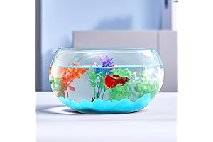 Fluorescent Decor 1 Gallon Glass Fish Bowl