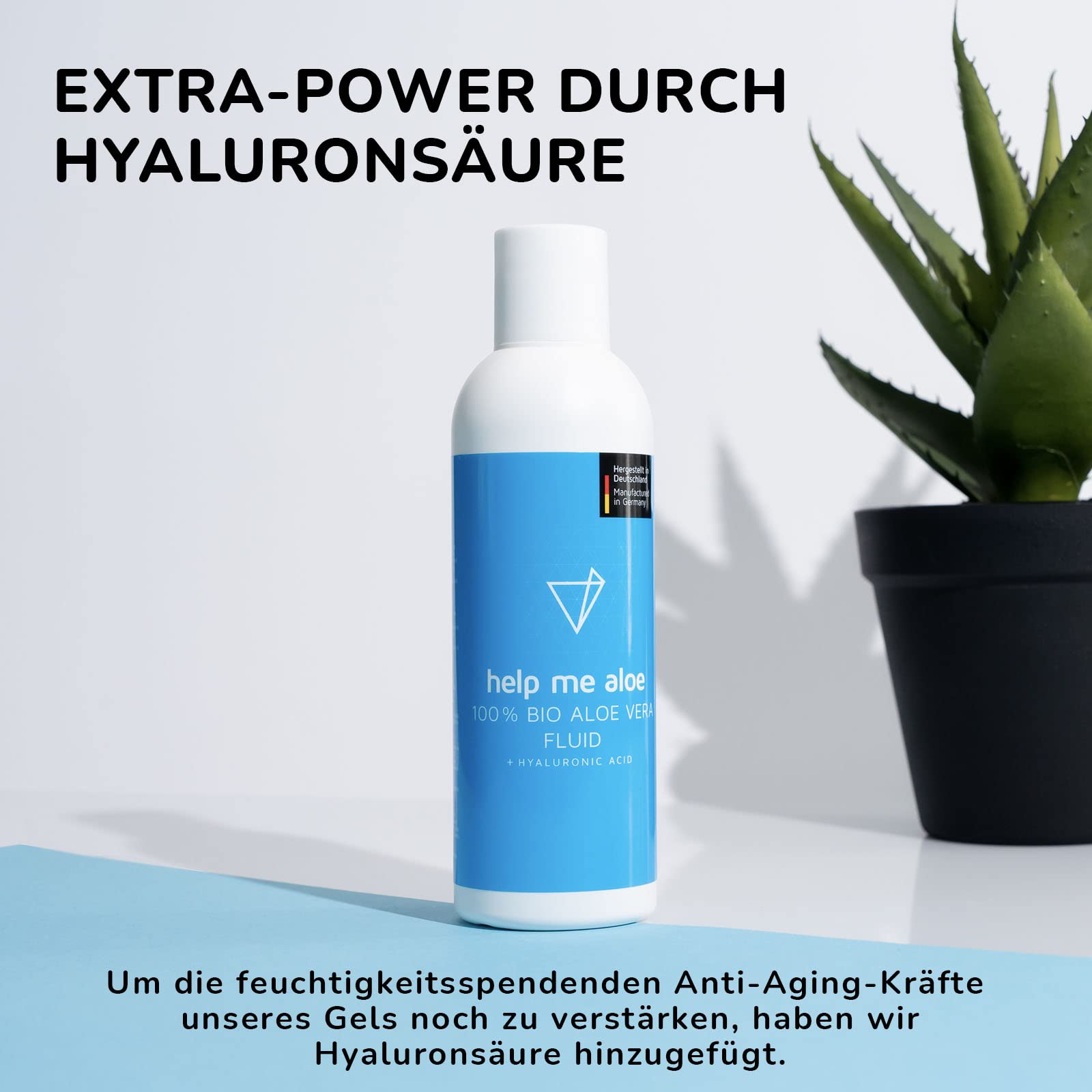 aloe vera in sun Aloe Vera – Liberty Landscape Supply