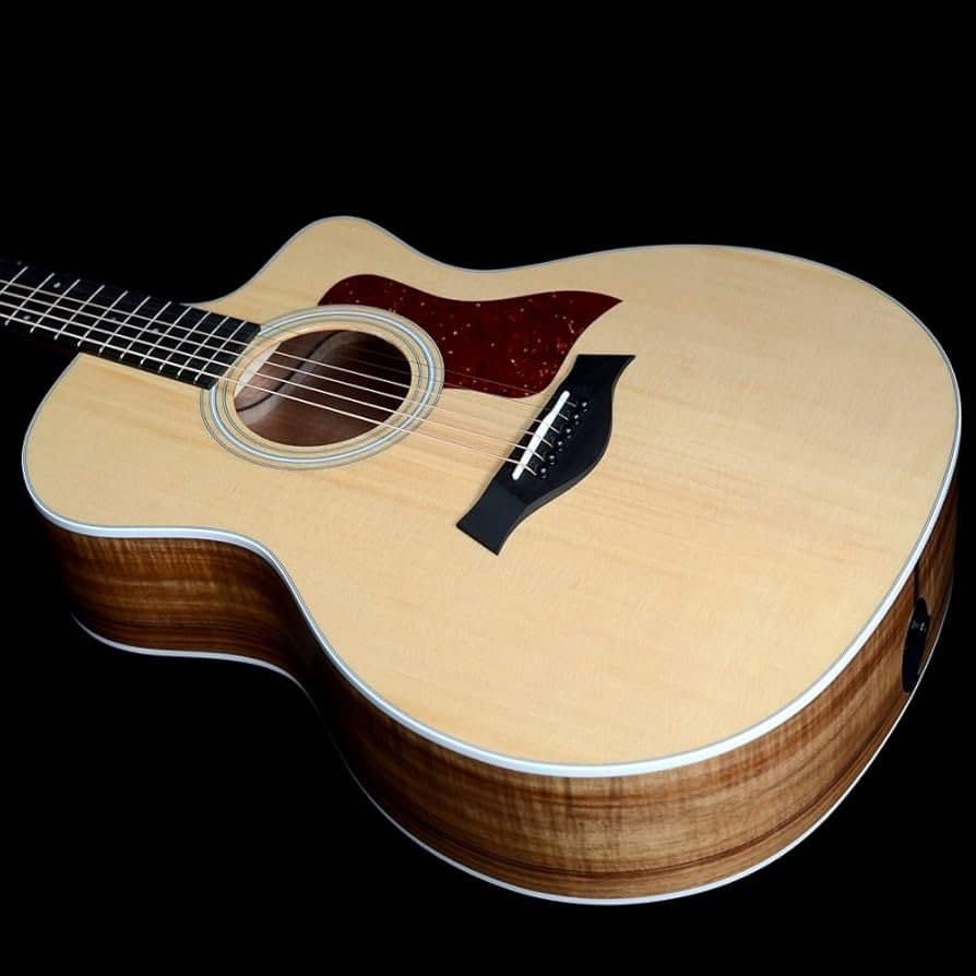 ギター Taylor 214ce es2 Taylor 214ce DLX ES2 BLK (Black)【イシバシ楽器心斎橋店