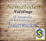 🦟Die Anwendung ist ganzjährig möglich. Eine Bodentemperatur von 8-28 °C ist erforderlich. Die Anwendung von SF Nematoden zur biologischen Schädlingsbekämpfung ist für Menschen, Haustiere und Pflanzen ungefährlich.