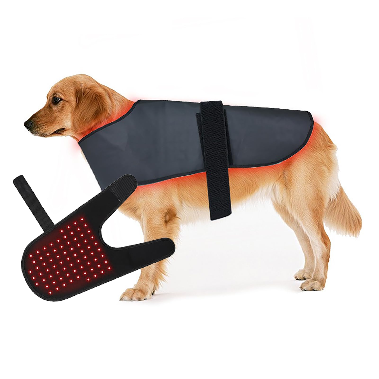 Dispositivo de Terapia física con luz roja, Terapia de luz roja de Doble Longitud de Onda 660/850 NM, Dispositivo de Terapia roja/infrarroja para Mascotas, con 272 LED