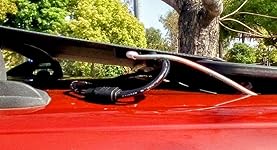 Review Image by Melody G. Stidham Melody G. Stidham