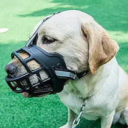 Focinheira de Segurança Respirável para Cães, com Faixa Refletiva, Ajustável, Material TPR e Nylon, Tamanhos: 0, 1, 2, 3, 4, 5, 6 (Número: 6)