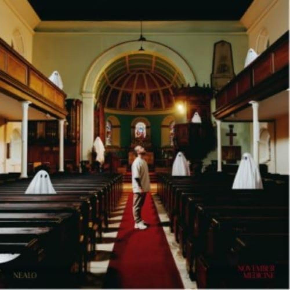 NOVEMBER MEDICINE [VINYL]
