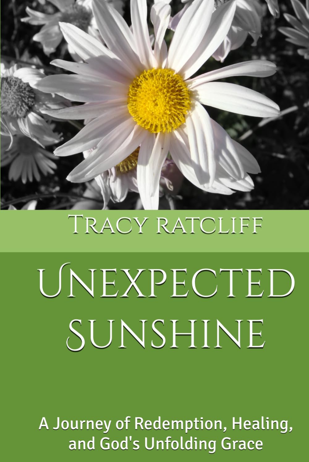 Unexpected Sunshine: A Journey of Redemption, Healing, and God's Unfolding Grace